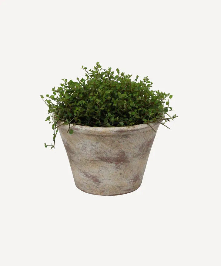 Providence Plant Pot