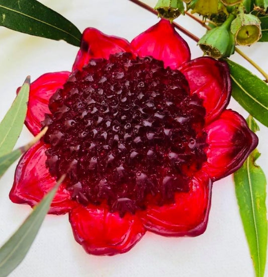 Waratah Brooch -Black/Red